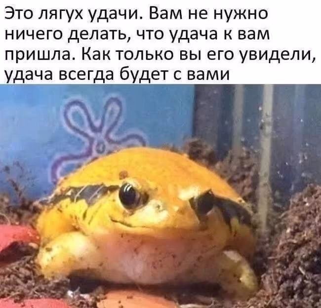 Смешнявка #701