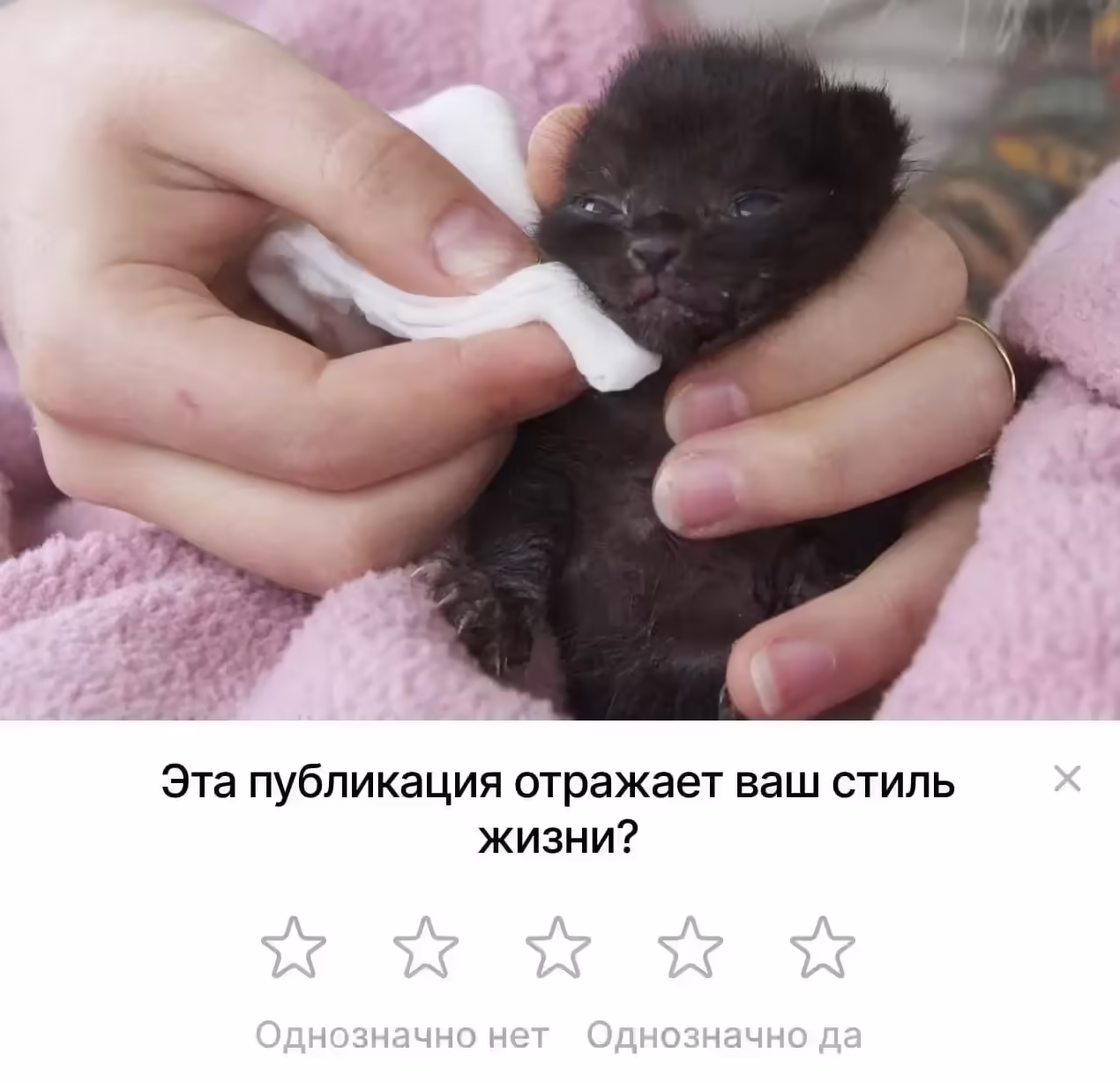 Смешнявка #704