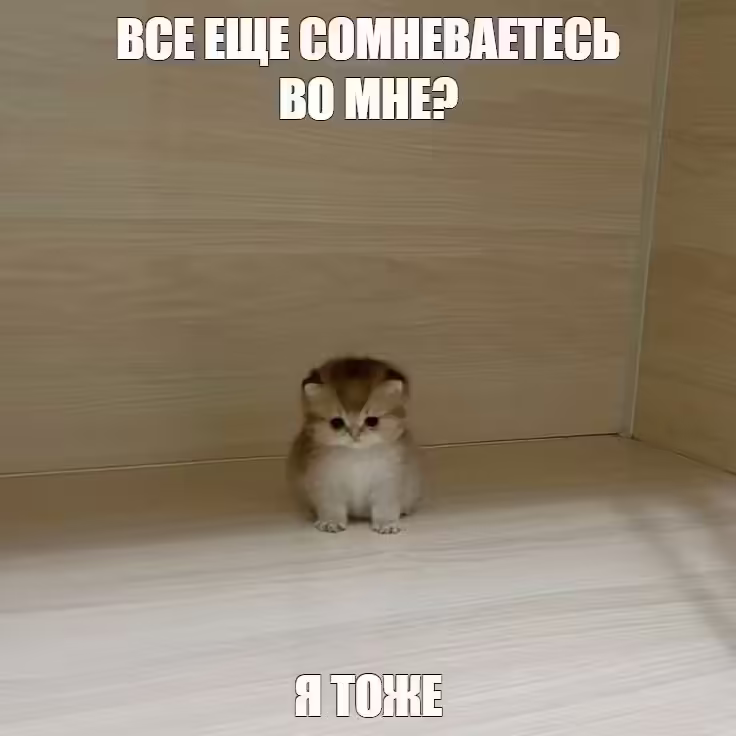 Смешнявка #708