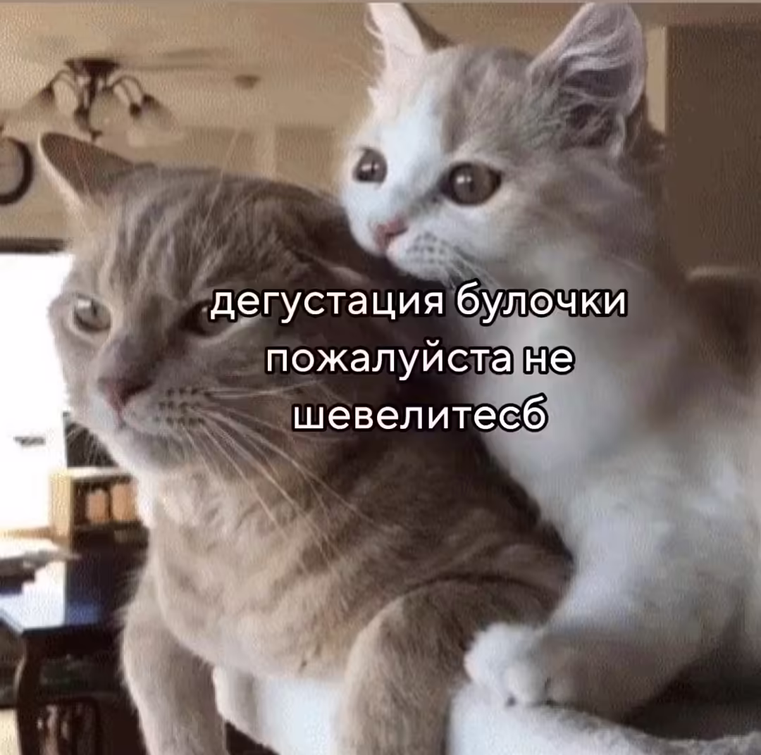 Смешнявка #718