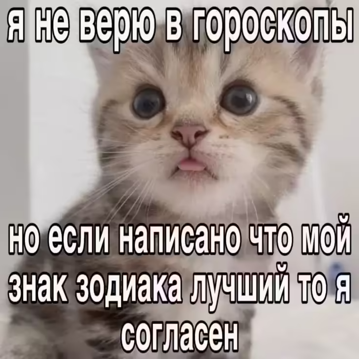 Смешнявка #722