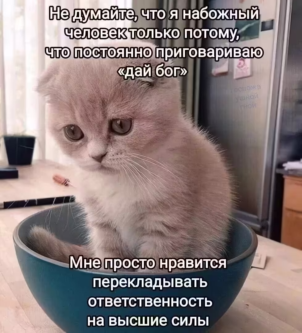 Смешнявка #726