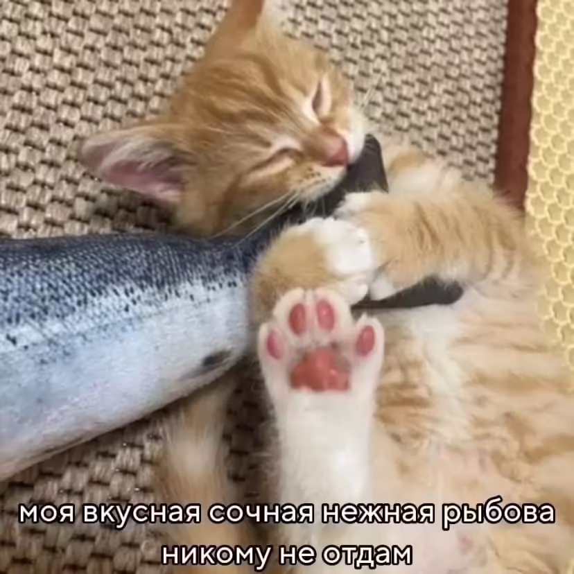 Смешнявка #730