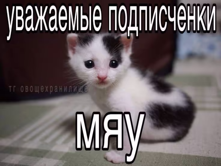 Смешнявка #758