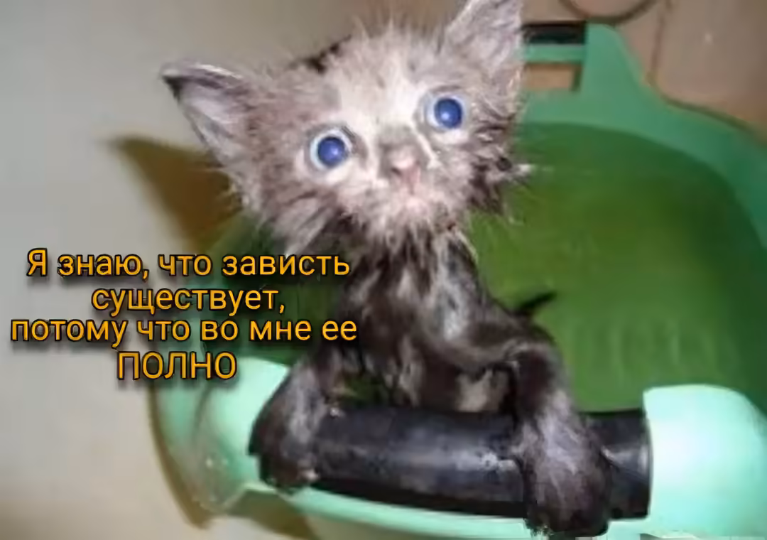 Смешнявка #764