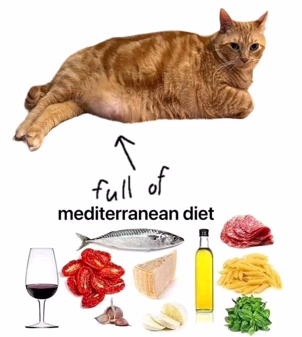 Смешнявка #774