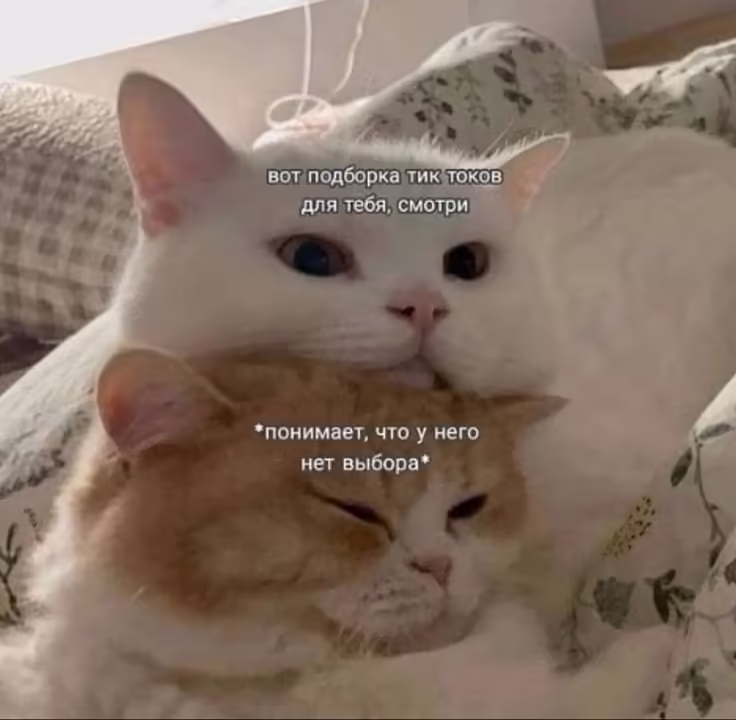 Смешнявка #789