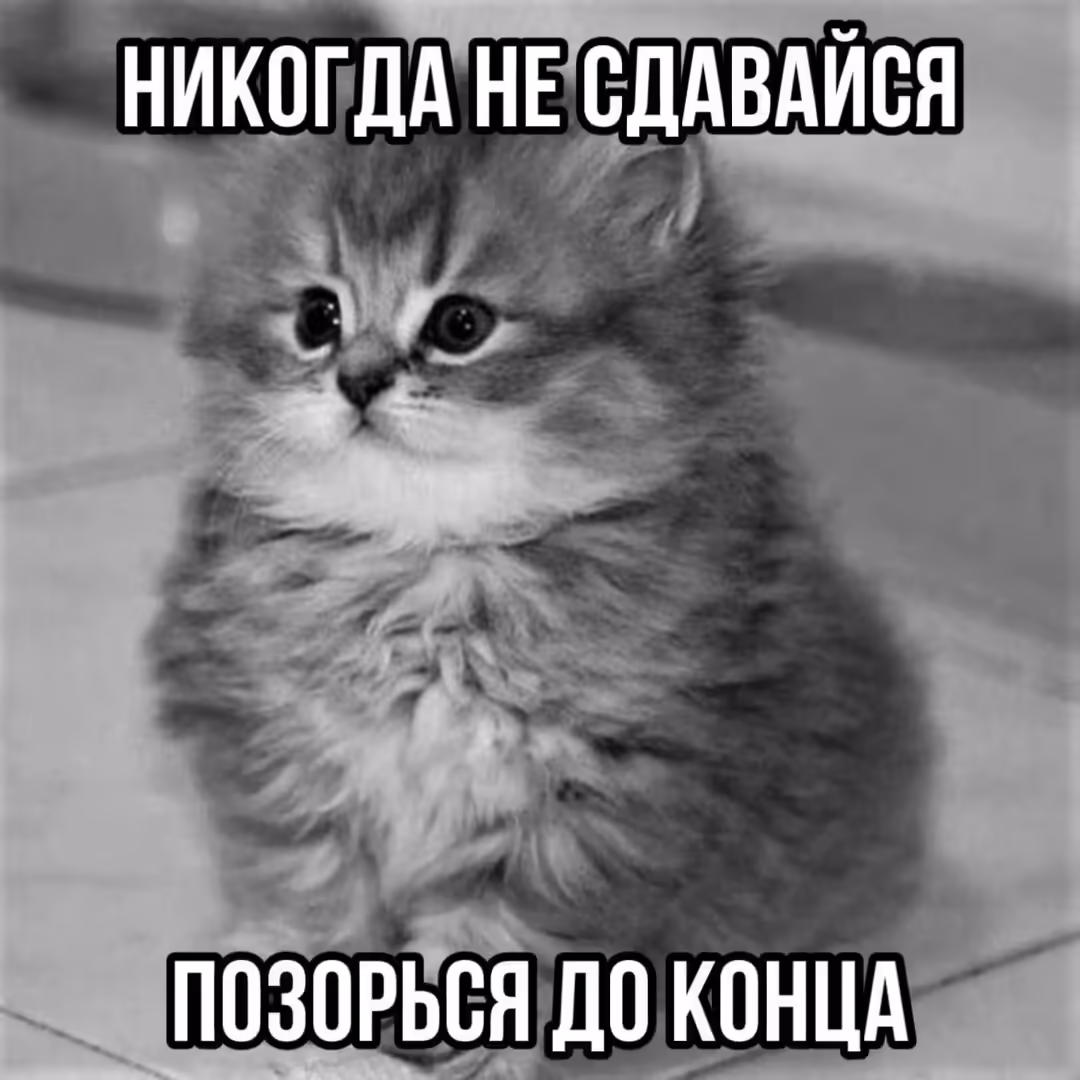 Смешнявка #790