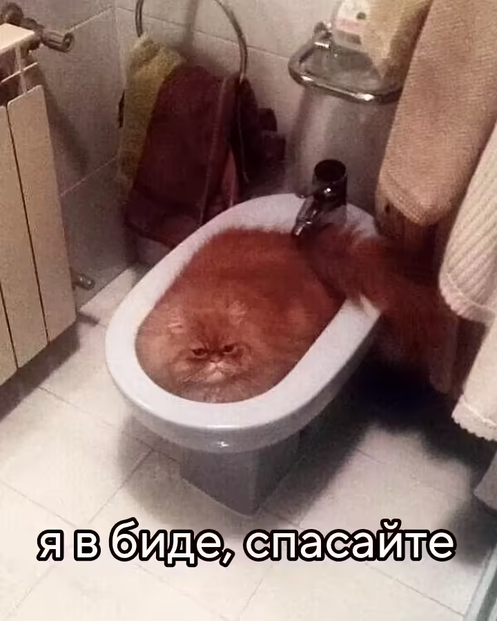 Смешнявка #792