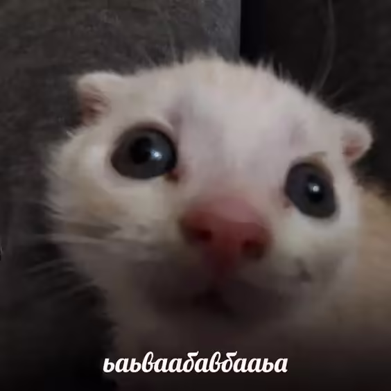 Смешнявка #795