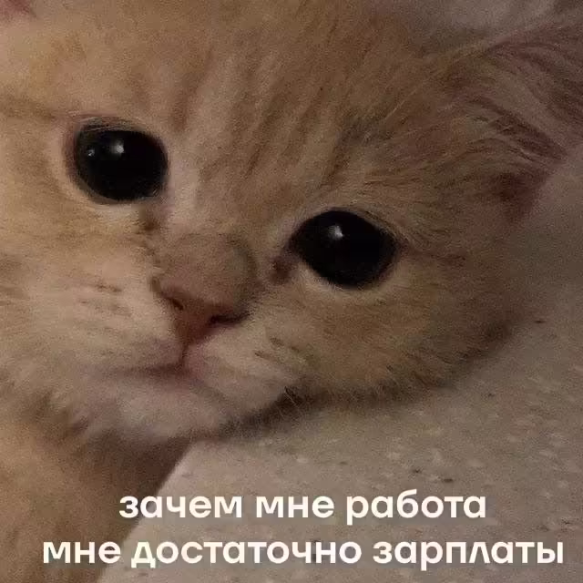 Смешнявка #798