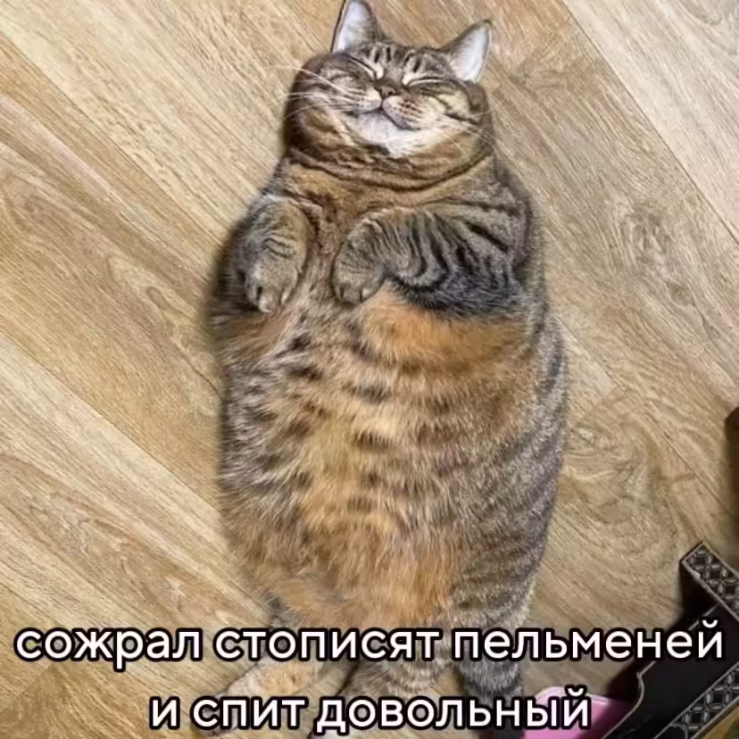 Смешнявка #800