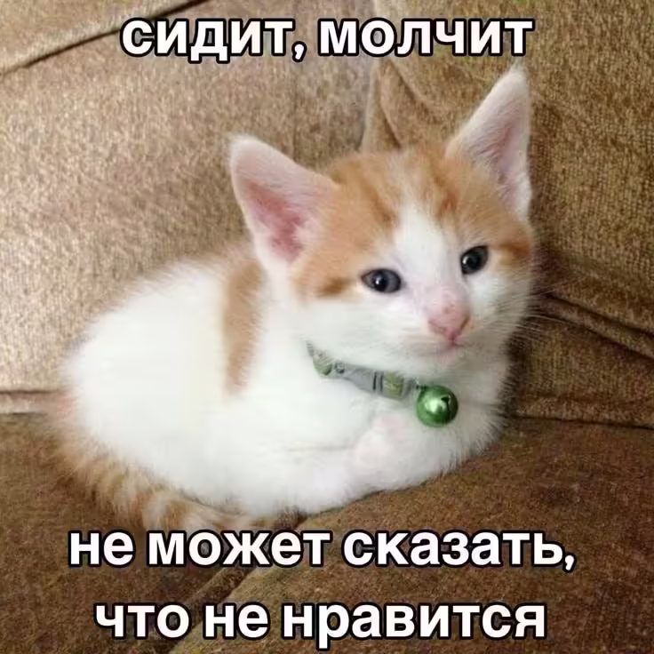 Смешнявка #805