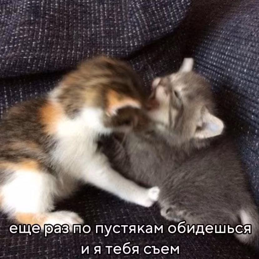 Смешнявка #818