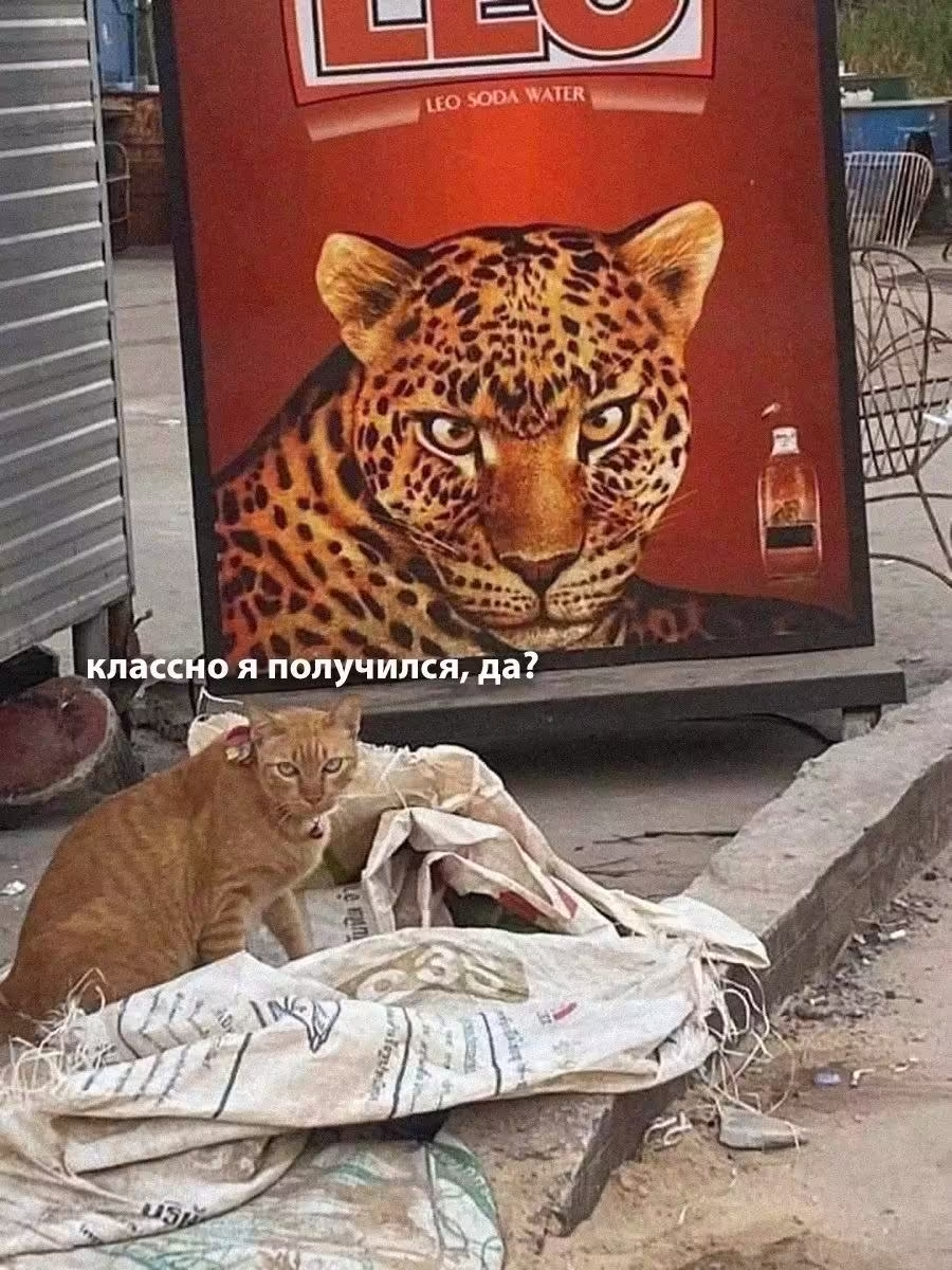 Смешнявка #820