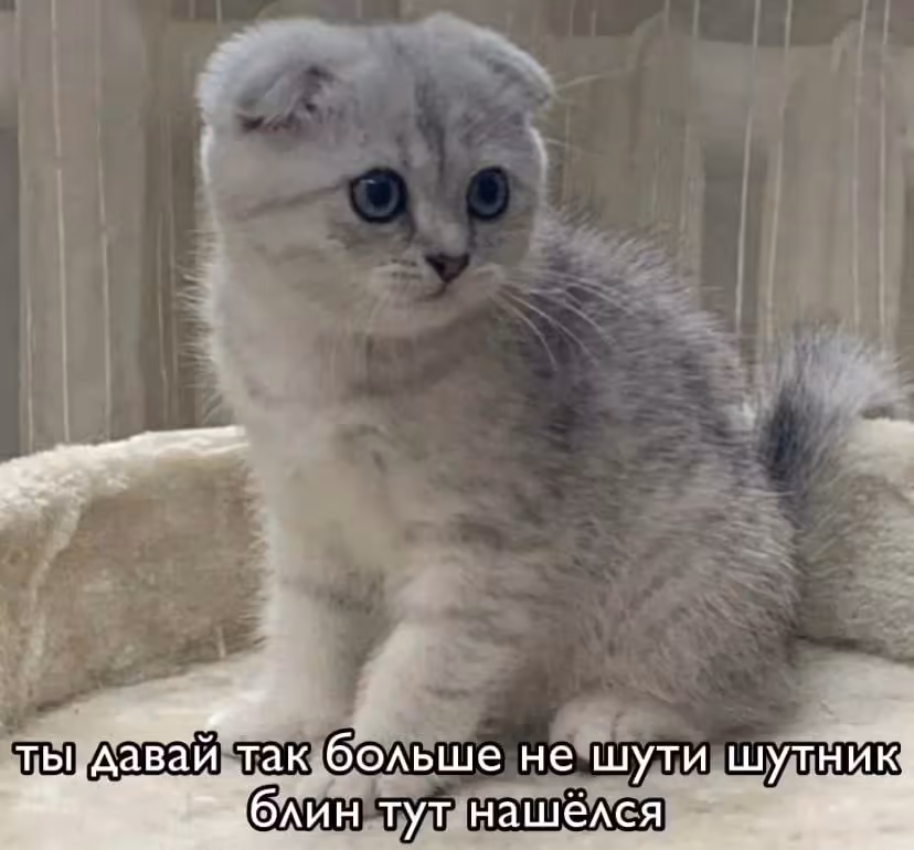 Смешнявка #831