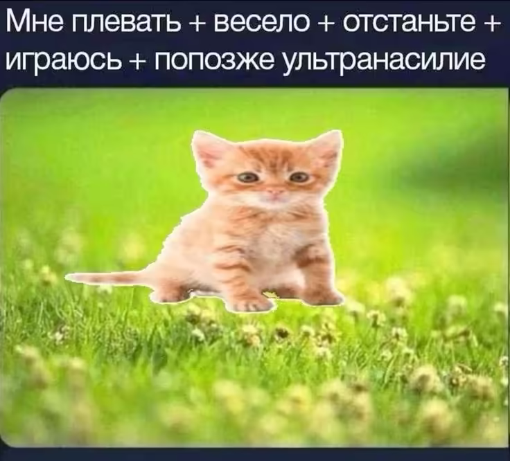 Смешнявка #848