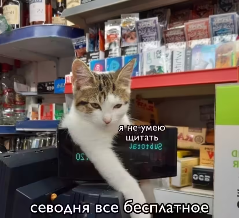 Смешнявка #865