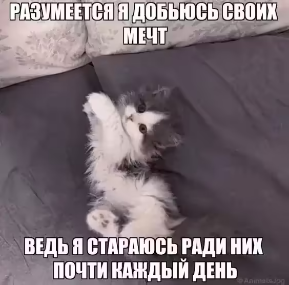 Смешнявка #868