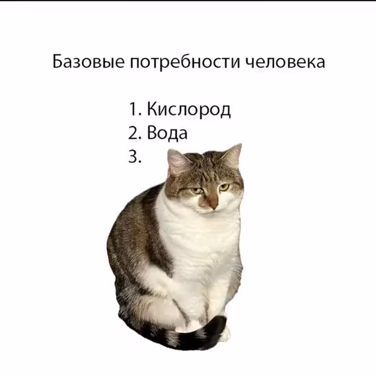 Смешнявка #869