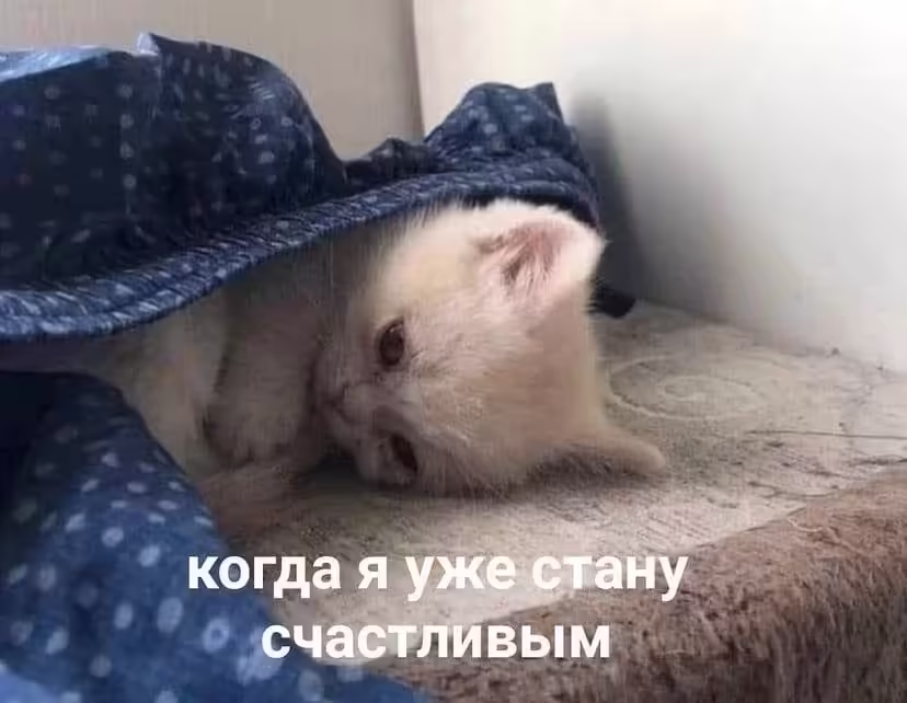 Смешнявка #878