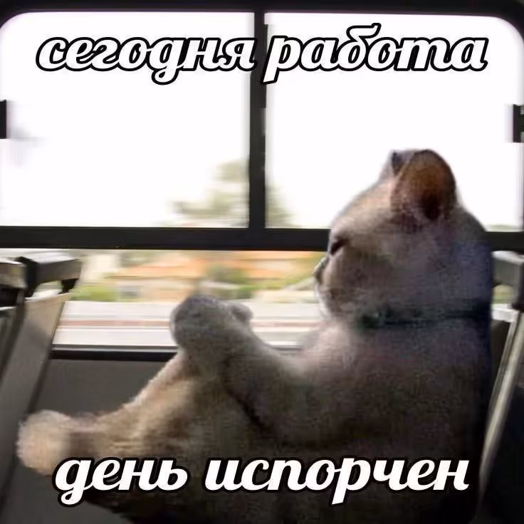 Смешнявка #893