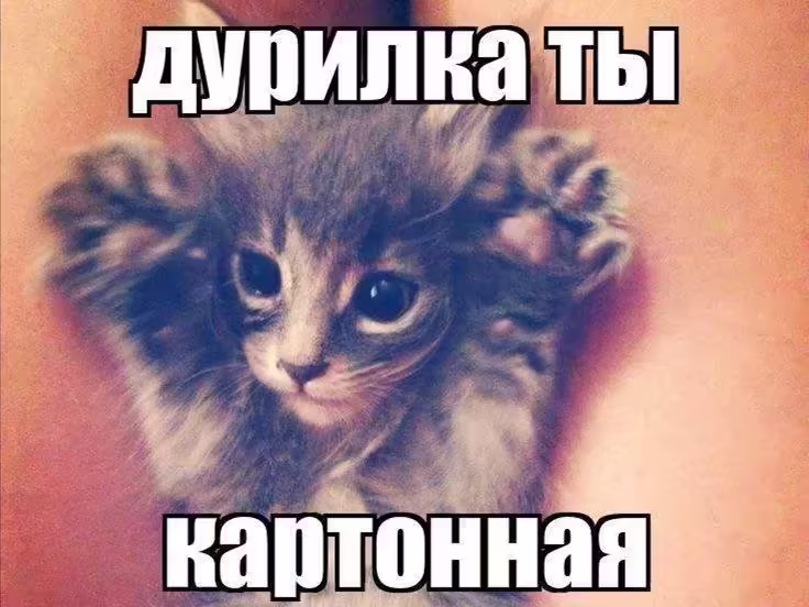 Смешнявка #905