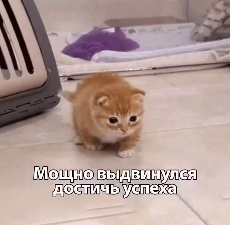 Смешнявка #909