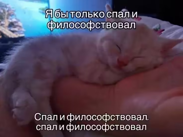 Смешнявка #919