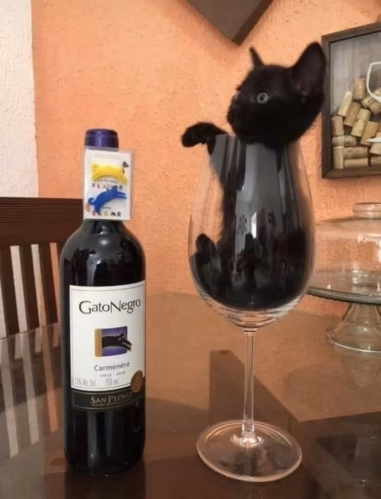 Смешнявка #931