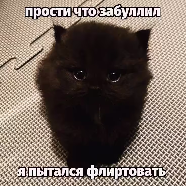 Смешнявка #934