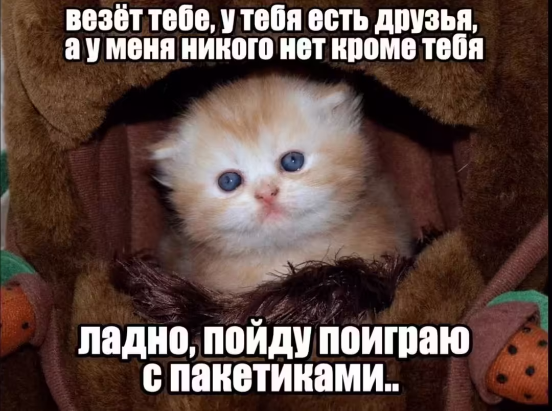 Смешнявка #936