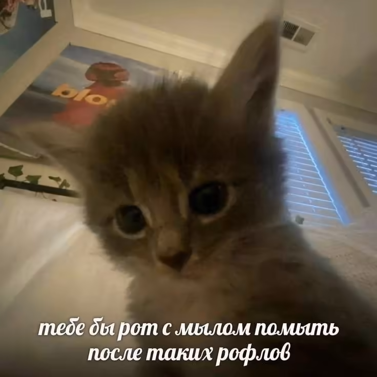 Смешнявка #939