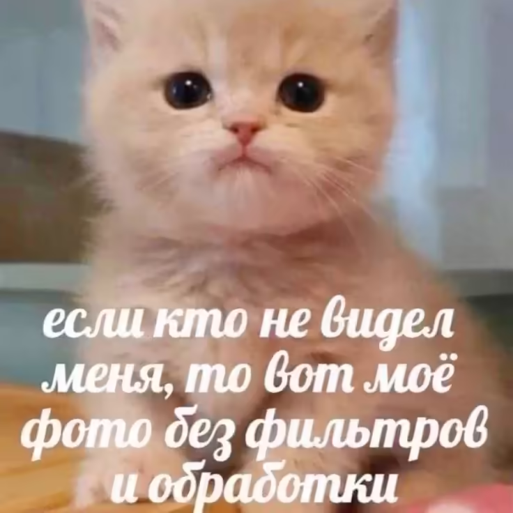 Смешнявка #941