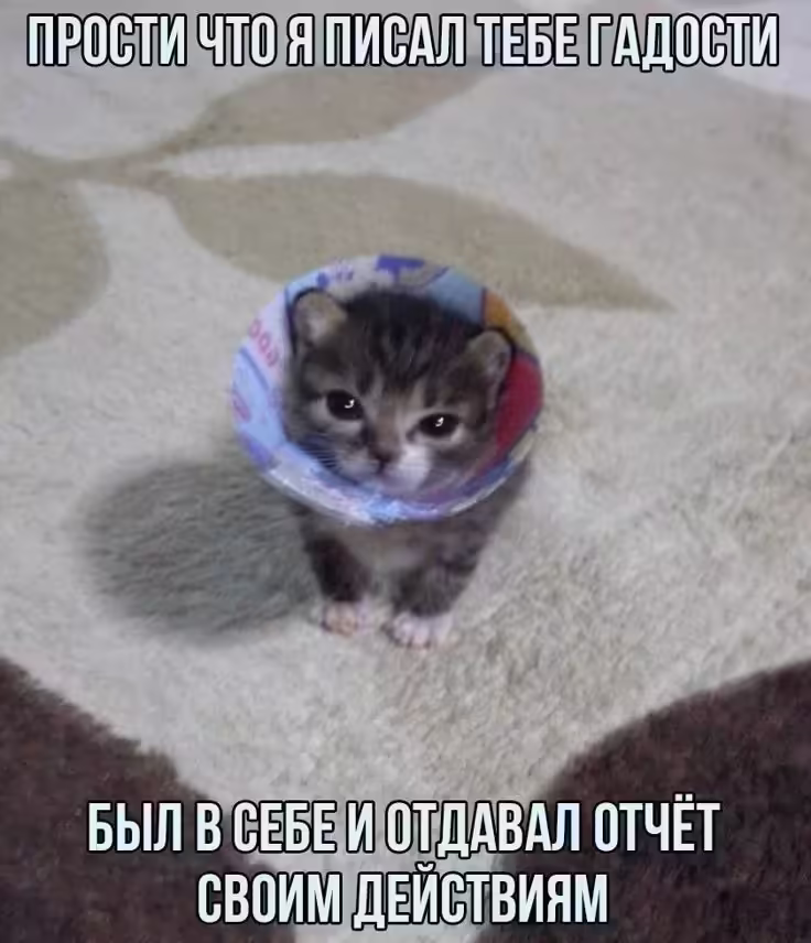 Смешнявка #943