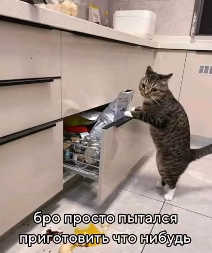 Смешнявка #959