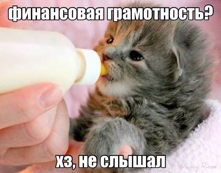 Смешнявка #965