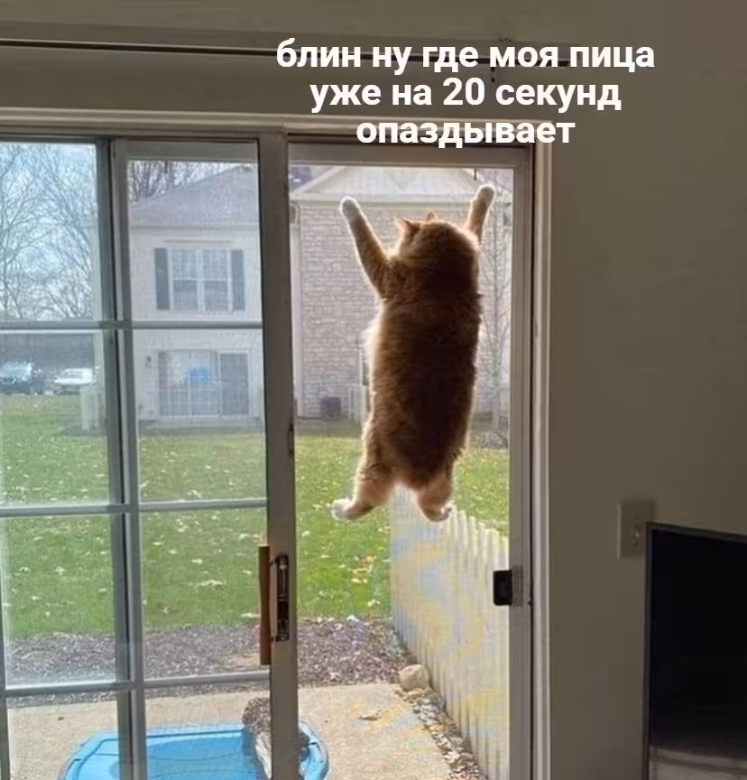 Смешнявка #967