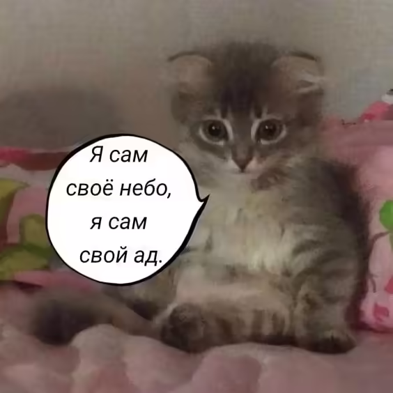 Смешнявка #972