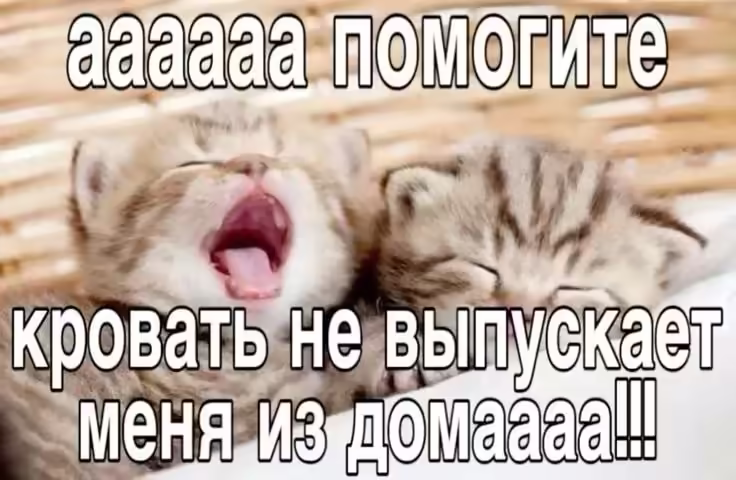 Смешнявка #976