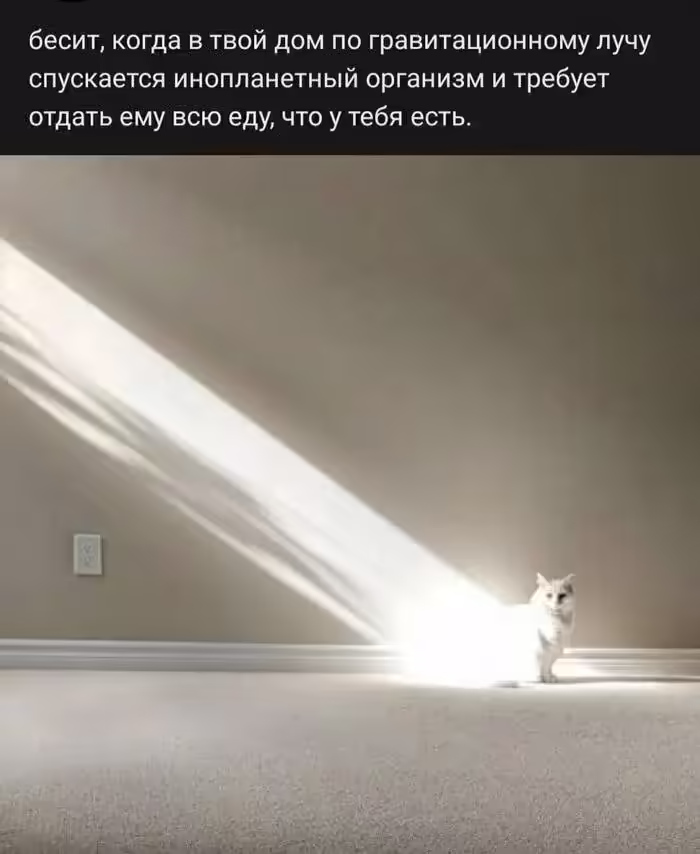 Смешнявка #977