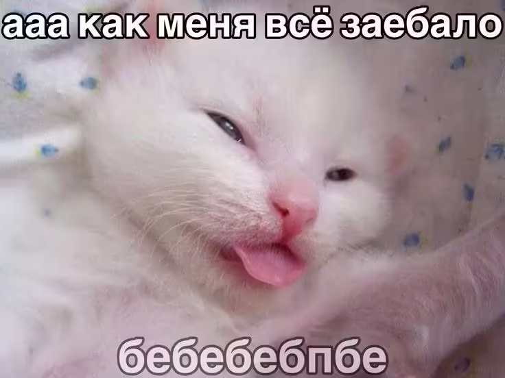 Смешнявка #984