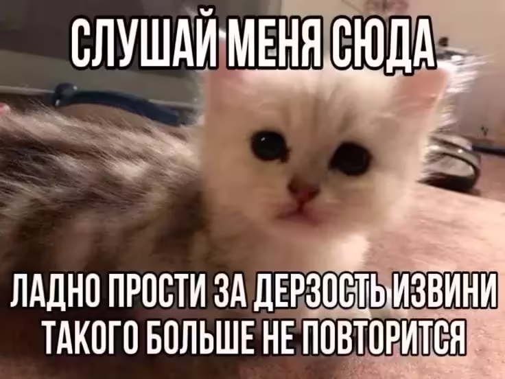 Смешнявка #997