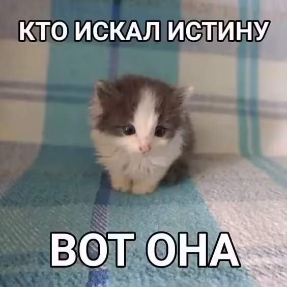 Смешнявка #1005