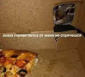 Смешнявка #1006