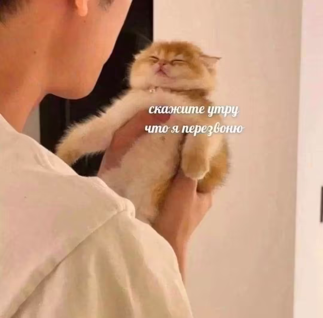 Смешнявка #1012