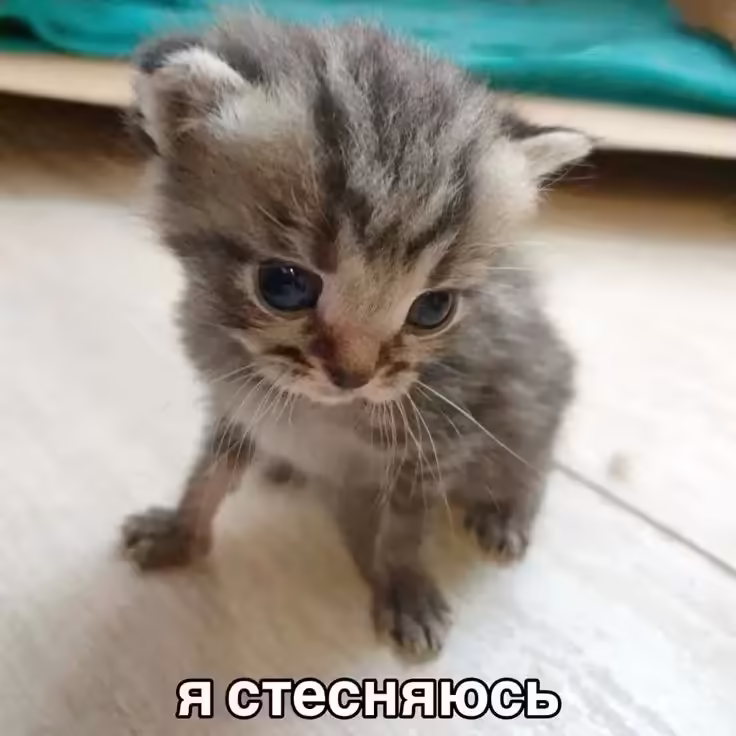 Смешнявка #1013