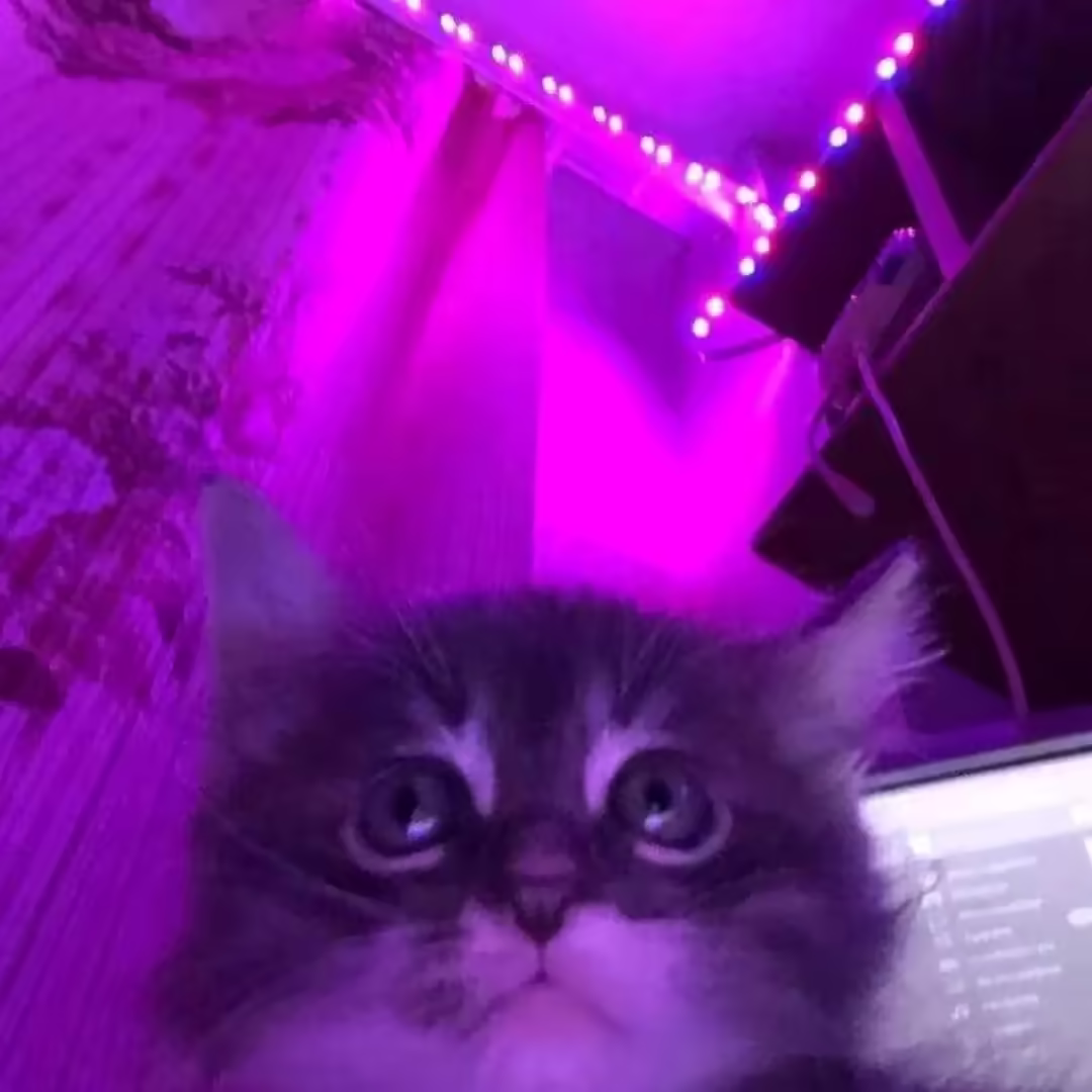 Смешнявка #1022