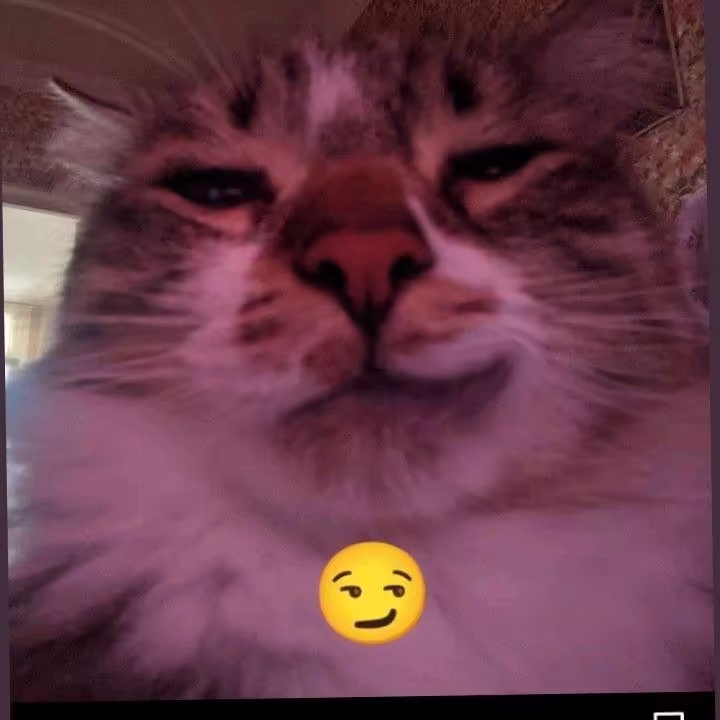 Смешнявка #1024