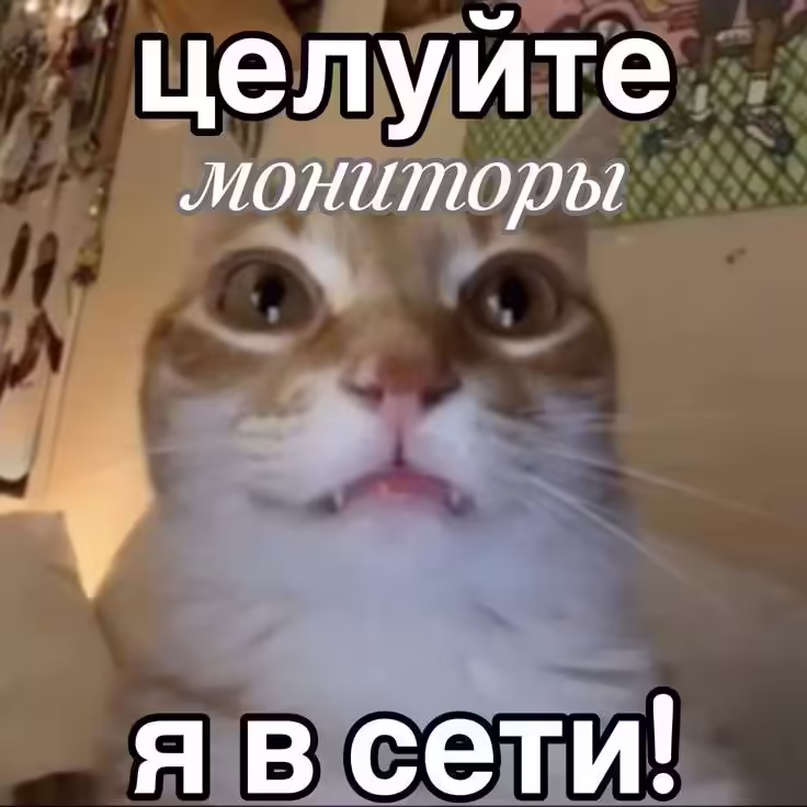 Смешнявка #1029